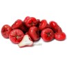 Java Apple Seeds, Rose Apple, Wax Jambu | Seeds Shop Store