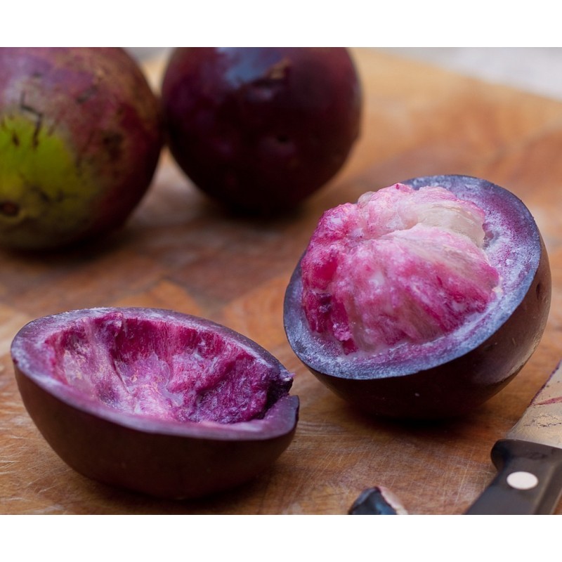 Sementes Abiú, Cainito, Ciniti (Chrysophyllum cainito) | Seeds Shop Store