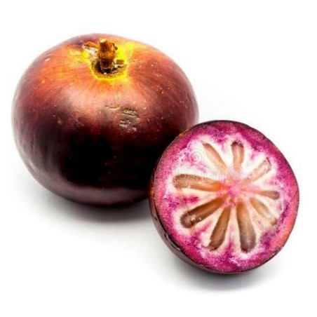 Sementes Abiú, Cainito, Ciniti (Chrysophyllum cainito) | Seeds Shop Store