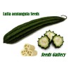 Angled luffa, Ridged luffa Seeds (Luffa acutangula) | Seeds Shop Store