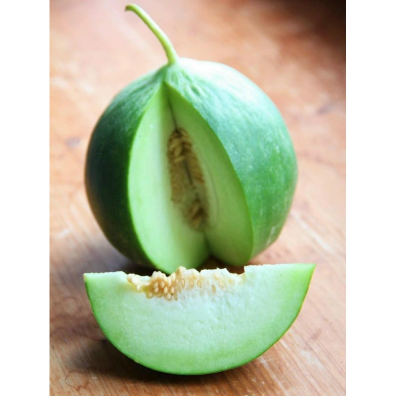 Cucumber Melon Seeds - Carosello Barattiere | Seeds Shop Store