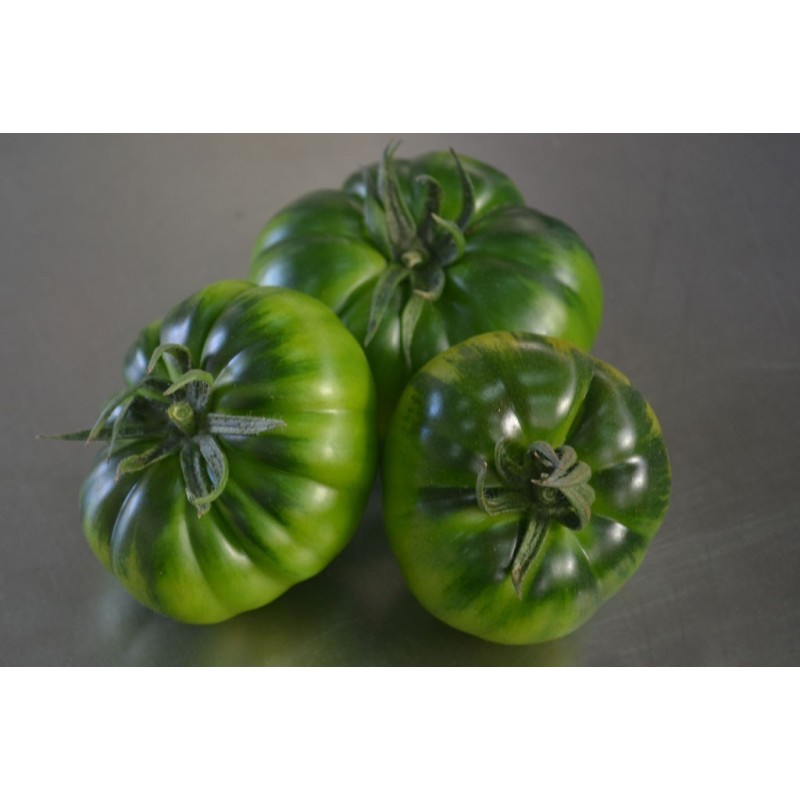 Costoluto Pachino Tomatensamen – Toamaten aus Siz. | Seeds Shop Store