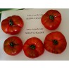 Costoluto Pachino Tomatensamen – Toamaten aus Siz. | Seeds Shop Store