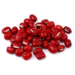 Sementes de Feijão-Azuqui (Vigna angularis) - 1.755