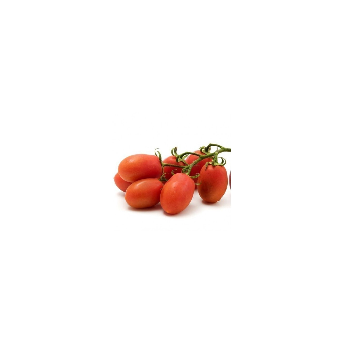 Tomato Seeds Rio Grande - 1.395