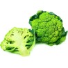 Green Cauliflower Seeds | Seeds Shop Store