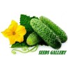 Gurkensamen Pariser Cornichon 400 samen | Seeds Shop Store