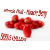 Mirakelfrucht, Wunderbeere Samen (Synsepalum dulcificum) | Seeds Shop Store