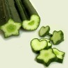 Fruit and Vegetable Mould, Star Shape, Change Fruits Shape | Seeds Shop Store