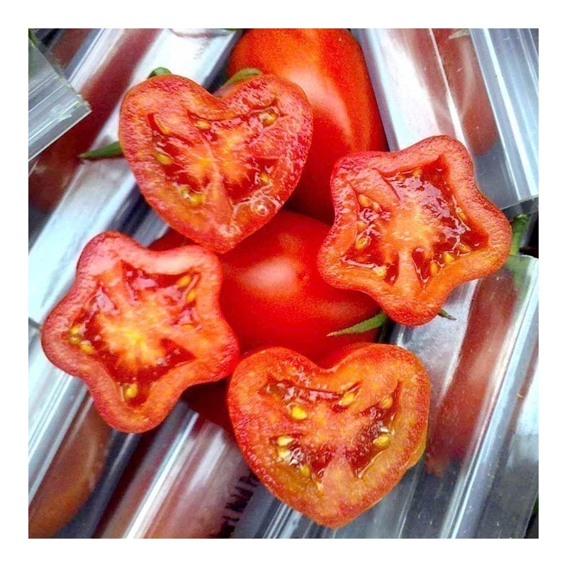 Fruit and Vegetable Mould, Star Shape, Change Fruits Shape | Seeds Shop Store