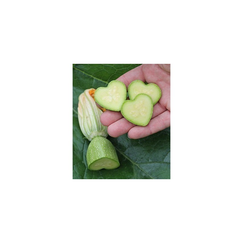 Fruit and Vegetable Mould, Star Shape, Change Fruits Shape | Seeds Shop Store