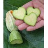 Fruit and Vegetable Mould, Star Shape, Change Fruits Shape | Seeds Shop Store
