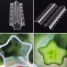 Fruit and Vegetable Mould, Star Shape, Change Fruits Shape | Seeds Shop Store