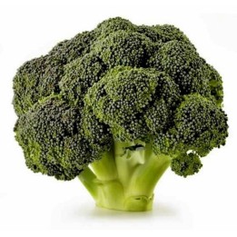 Broccoli - Sparriskål Corvet Frön - 234.57915
