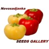 Sweet pepper seeds Novosadjanka | Seeds Shop Store