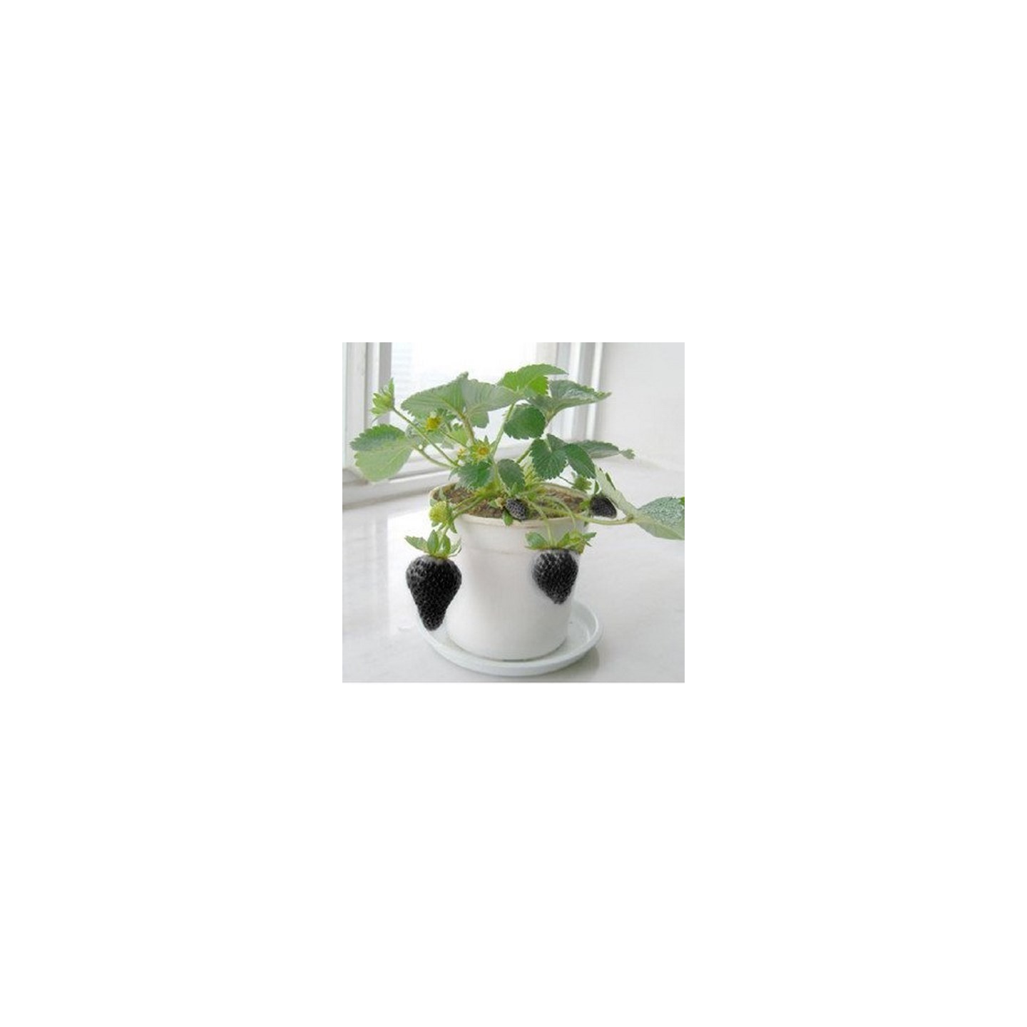 hanging plant pots metal Painted Metal Hanging Planters, Set of 3 main image 0