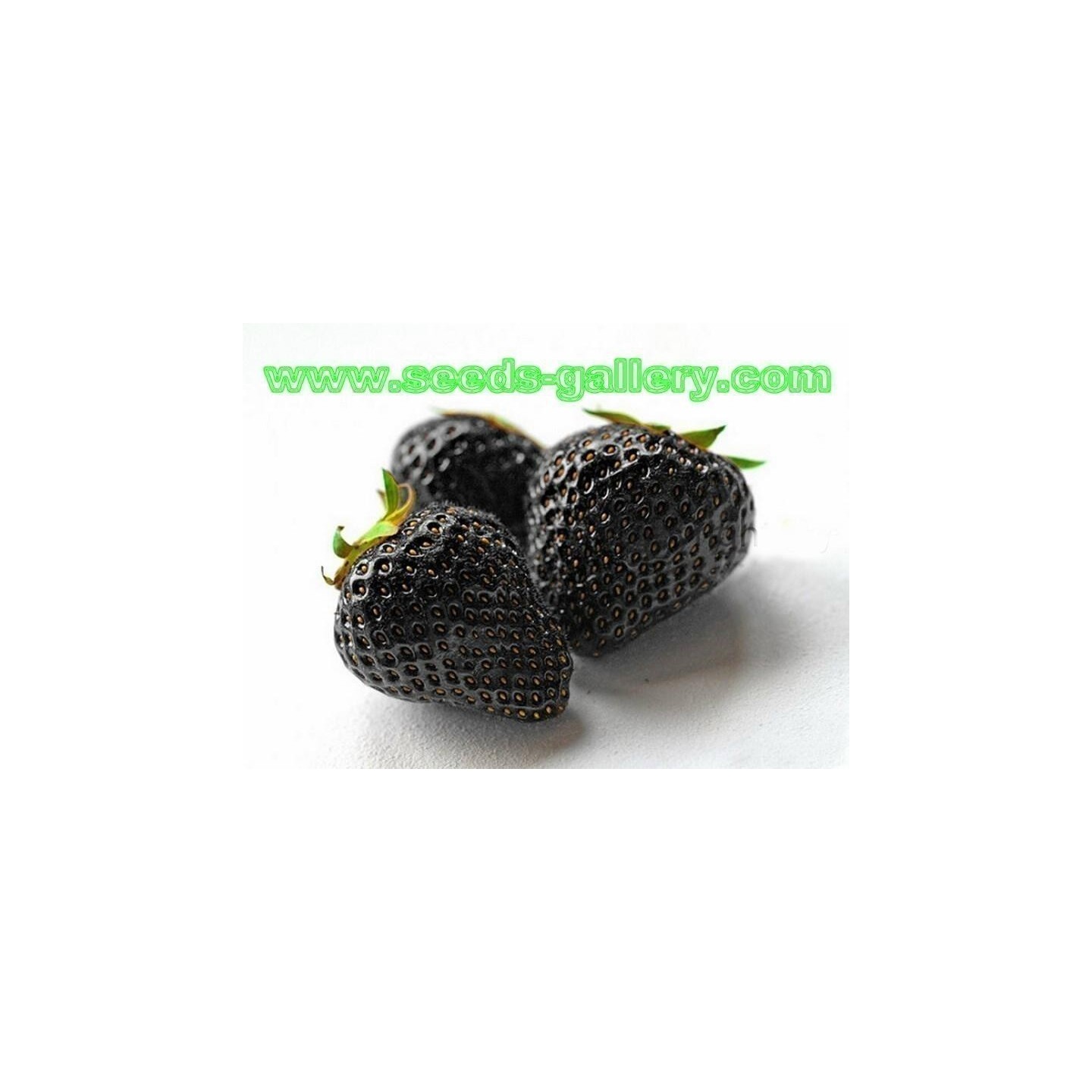 Black Strawberry Seeds | Heirloom, organic & exotic seeds | Exotic Seeds  Shop