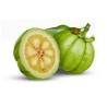 Garcinia Gummi-Gutta - Garcinia Cambogia Seeds
