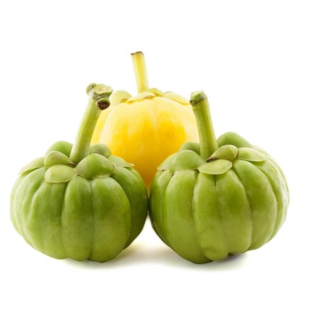 Garcinia Gummi-Gutta - Garcinia Cambogia Seeds
