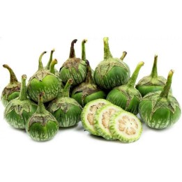 Thai Round Green Eggplant Seeds (Solanum melongena) - 1.755