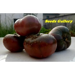 Pink and Black Marquise Tomato Seeds - 1.935
