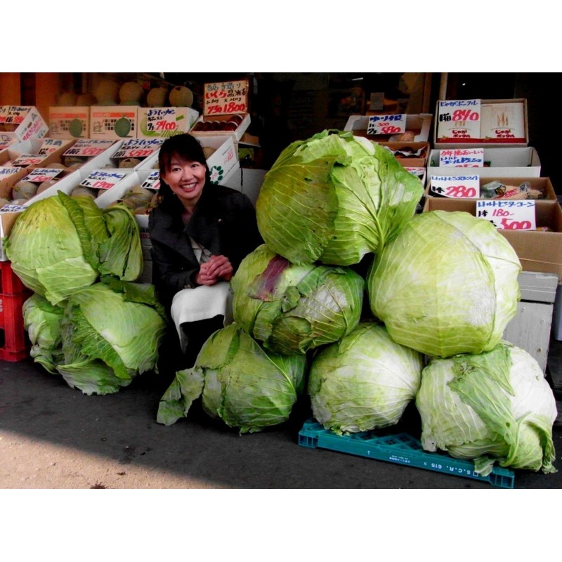 Gigantischer Japanischer Kohl Samen | Seeds Shop Store