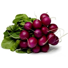Purple Plum Radish Seed - 2.025