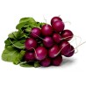 Sementes Rabanete Roxo Purple Plum | Seeds Shop Store