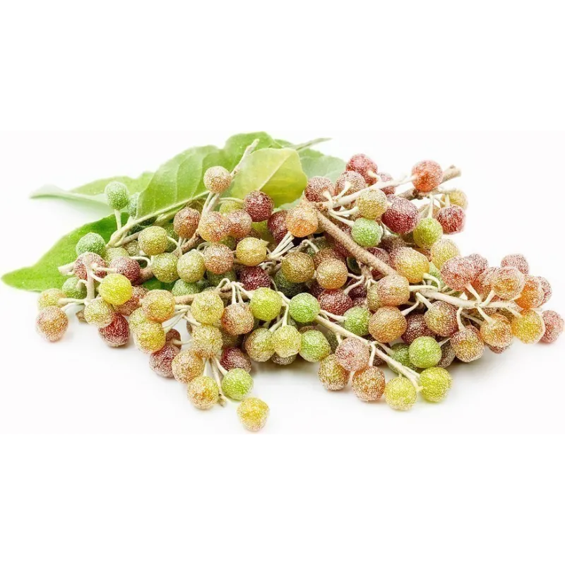 Japanese Silverberry - Autumn Olive Seeds | Seeds Shop Store
