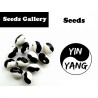 Orca, YinYang, Calypso Bohnen Samen | Seeds Shop Store