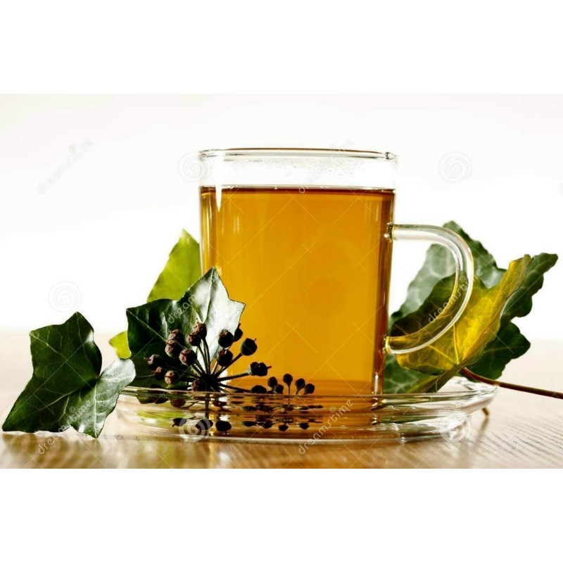 Gemeine Efeu, Gewöhnlicher Efeu Samen (Hedera helix) | Seeds Shop Store