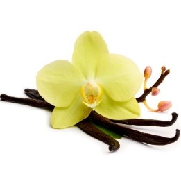 Bourbon Vanilla Seeds (Vanilla planifolia) - 3.15