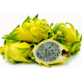 Dragon Fruit Yellow 100 Seeds - Pitaya (Hylocereus undatus) - 27