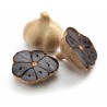 Black Garlic Cloves (Allium roseum) | Seeds Shop Store
