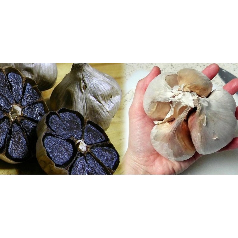 Black Garlic Cloves (Allium roseum) | Seeds Shop Store