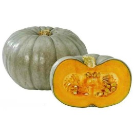 Semi di Zucca dolce Prince Crown - 1.935