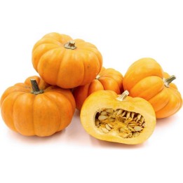 Semi di zucca Mini Musk - 1.575