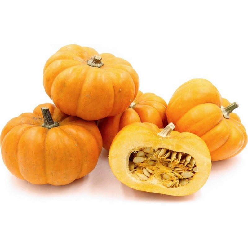 بذور يقطين ميني مسك | Seeds Shop Store