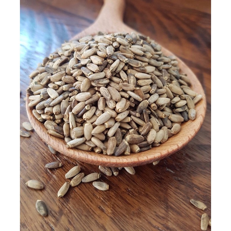 Sementes de Cardo Mariano (Silybum marianum) | Seeds Shop Store