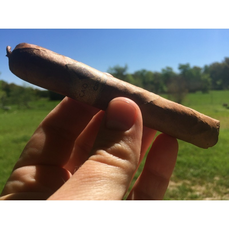 Semi di tabacco Cuban Criollo 98 | Seeds Shop Store