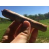 Semi di tabacco Cuban Criollo 98 | Seeds Shop Store