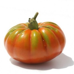 Beefsteak tomato seeds Pantano Romanesco - 1.755