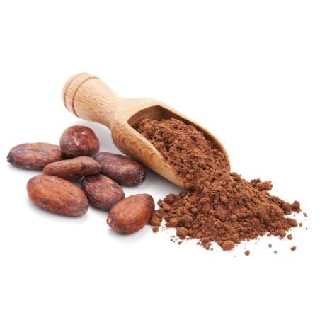 Trozos de cacao crudos - los mejores antioxidantes | Seeds Shop Store