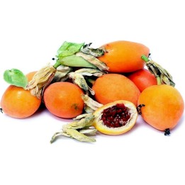 Blue passion flower seed (Passiflora caerulea) - 263.901544