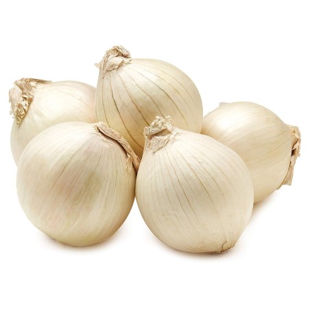 Weiße Zwiebel Samen Paris Silverskin | Seeds Shop Store