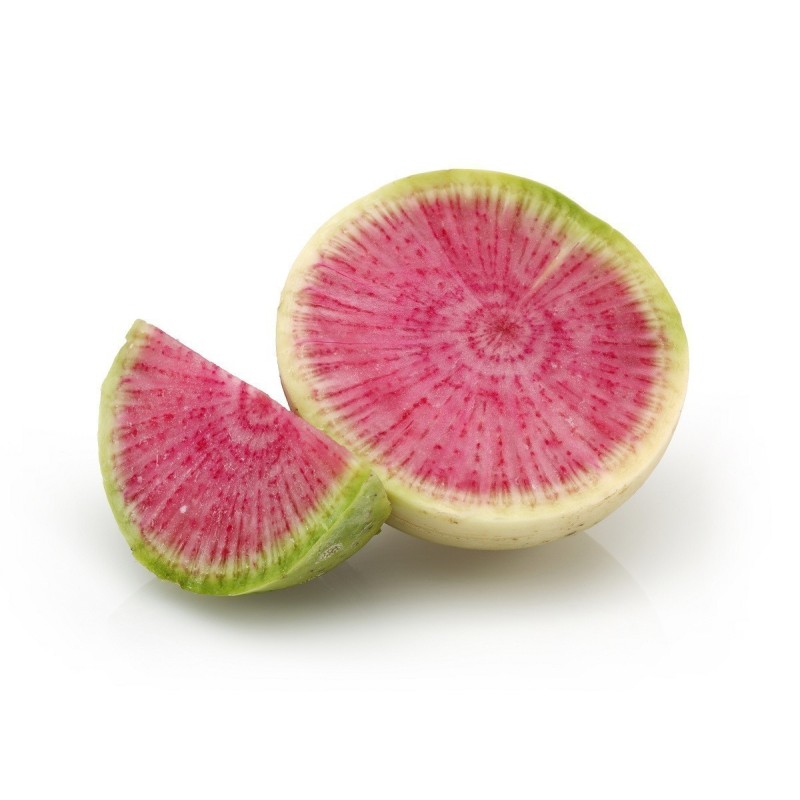 Radish Watermelon Seeds | Seeds Shop Store