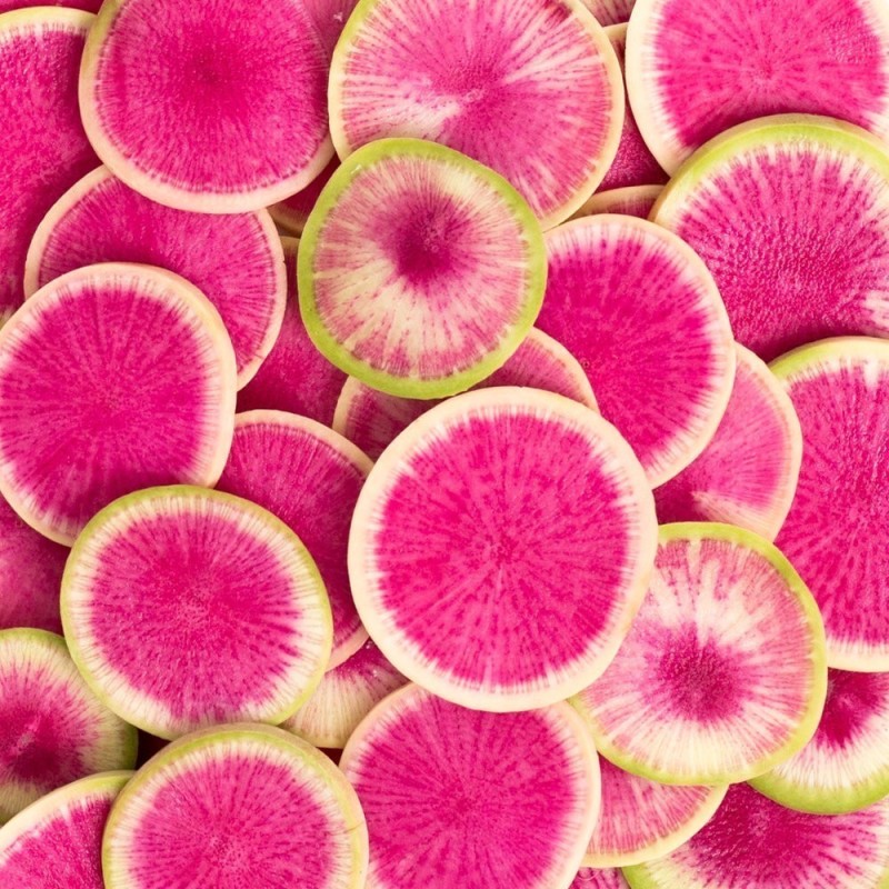 Radish Watermelon Seeds | Seeds Shop Store