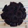 Black Rose Seeds Rare | Seeds Shop Store