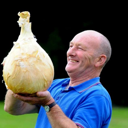 Robinsons Mammoth Giant Onion Seeds | Seeds Shop Store