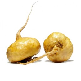 Maca Semena (Lepidium meyenii) - 258.037065